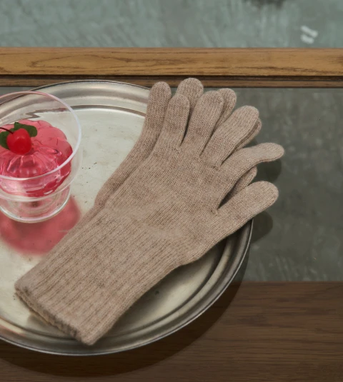 Gloves