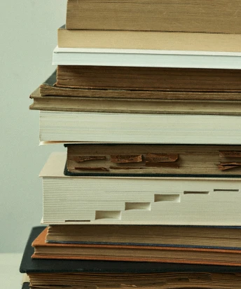 Spring / Summer 2025