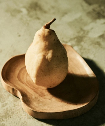 Spring / Summer 2025