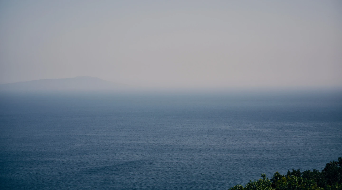 UNITED ARROWS Tropical 2023 Summer